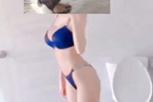 最新两大九妖大神-顶级网红女主播长腿黑丝超美萌妹