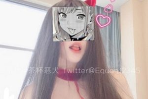 最新恶犬最全超清视频图包修复资源典藏版【40.1G】