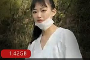 最新S劲小妖精高颜值妹子驾车野外车上K交