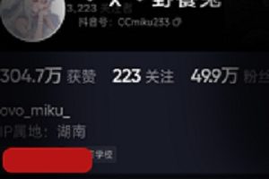 最新抖音网红野餐兔–8月最新私拍